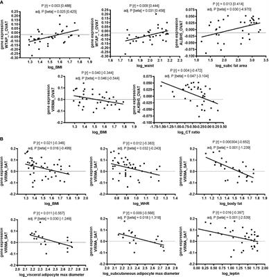 m6A Regulators in Human Adipose Tissue - Depot-Specificity and Correlation With Obesity